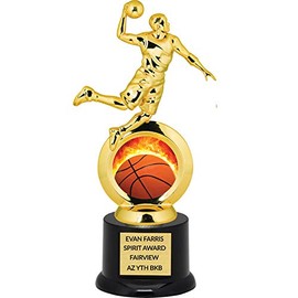 Custom Boy's Basketball Trophy for Kids, Free Custom Laser Engraving - 8.75 Inch Tall
