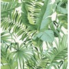 NuWallpaper NU2906 Maui Peel & Stick Wallpaper, Green