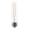 Bioluz LED T10 Dimmable LED Filament Bulb 4W (40W Equivalent)