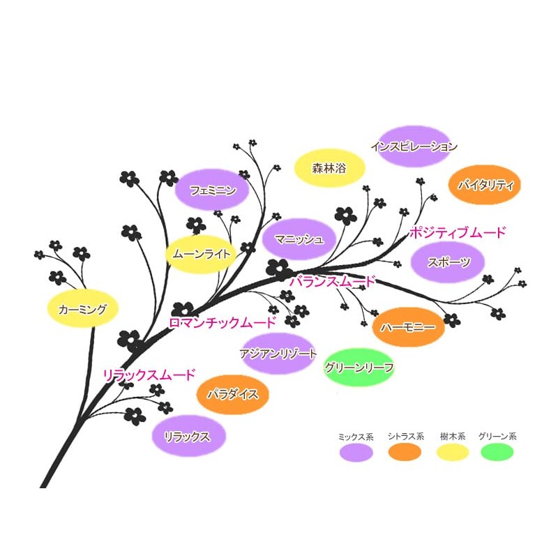 ASH Essential Oil 10ml x 5 Pack E. Blend