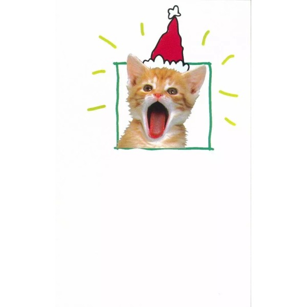 Meowy Christmas Cat Christmas Card #102- 1 card + 1