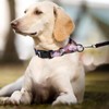 GUXL Martingale Dog Collars,Adjustable Soft Nylon Quick Release Buckle,No Pull