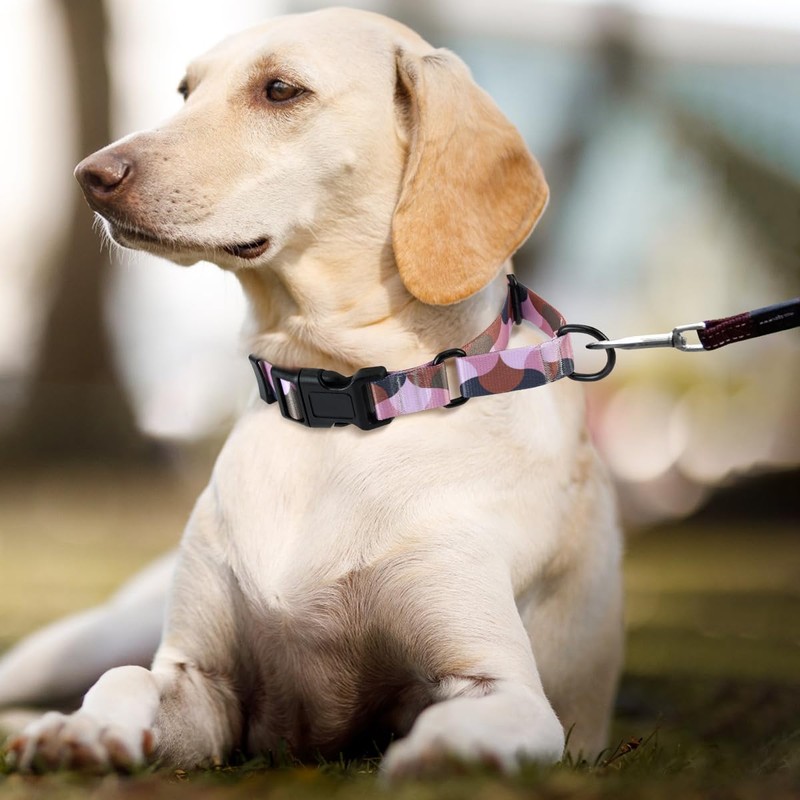 GUXL Martingale Dog Collars,Adjustable Soft Nylon Quick Release Buckle,No Pull