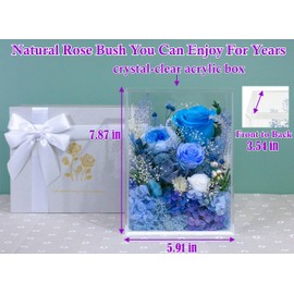 Valley of Rain & Forest Long-Lasting Real Flowers, Handcrafted Preserved Rose Bush For you to Send Love for All Occasions, Floral Arrangement for Indoor Decoration (Blue Rose)