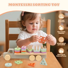 FMSKS Montessori Toy from 3 Years, Wooden Toy, Motor Skills Toy, Sorting & Stacking Toy, Baby from 36 Months, Wooden Car with Drawstring, Colour Sorting Game, Educational Toy for Toddlers
