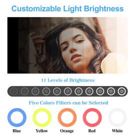 EMART Video Conference Lighting, Ring Light Clip on Computer Monitor Laptop Phone with 5 Color Filters and 11 Level Brightness for Live Streaming Remote Work Video Recording Selfie