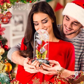 DEEMEI Birthday Gifts for Women Colorful Rose Eternal Flower Light Up Rose in Glass Dome with Butterfly,Christmas Thanksgiving Anniversary for Her Mom Girlfriend