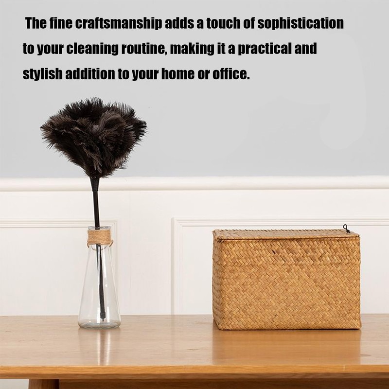 QANYEGN Ostrich Feather Duster, Long Handle Duster, Reusable Washable Duster