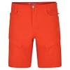 Dare 2b Men's Tuned IN II Tuned in II Shorts