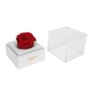 Rose Night Light Romantic Small USB Charging Soft Brightness Decoration