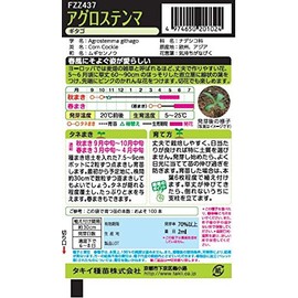 Takii Seedling Agrosten Magitago
