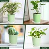 LESOASIS 4 Inch 5 Pack Small Self Watering Pots for