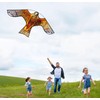 HENGDA KITE Bird Hawk Flying Kite with Pole Crops Farm