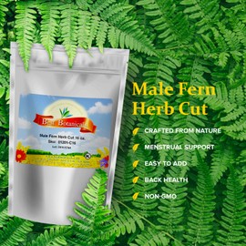 Best Botanicals Male Fern Herb Cut 16 oz.