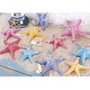 RAYLINE-DO RayLineDo Creative Mediterranean Style Design Beach Starfish Resin Five-Pointed
