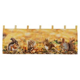 Raebel OHG Net Curtain 45 x 120 cm Autumn Squirrel Panneau Bistro Curtain Yellow Colourful 100% Polyester