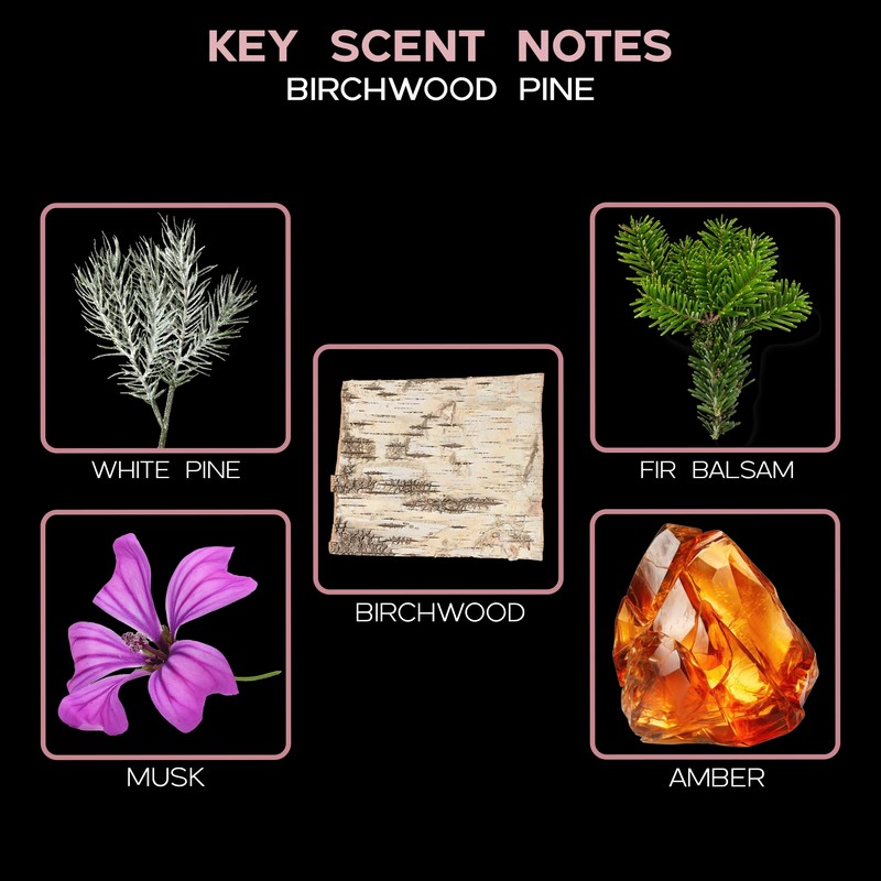 LOVSPA Birchwood Pine Diffuser Oil - Holiday Essential Oils for