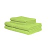EXKLUSIV HEIMTEXTIL 2 x Flannel 30 x 30 cm Apple