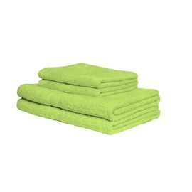 EXKLUSIV HEIMTEXTIL 2 x Flannel 30 x 30 cm Apple Green 500 g