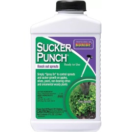 BONIDE PRODUCTS BND276 Ready to Use Punch Stop Suckers Sprouting from Roots and
