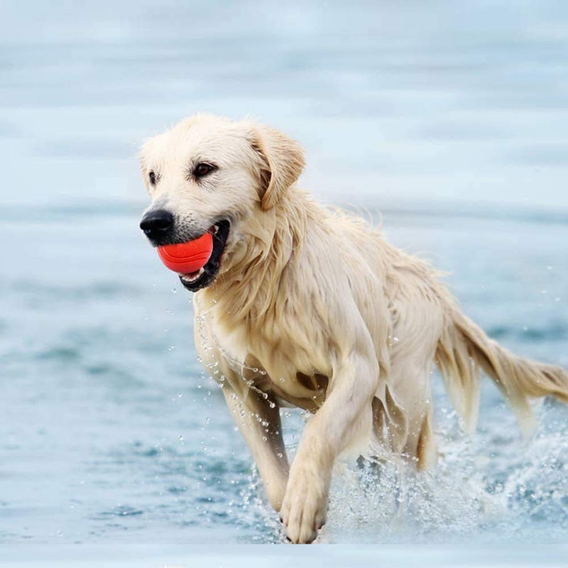 GaesQae Hard Rubber Balls for Dogs,Dog's Solid Rubber Bouncy Ball