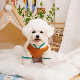 Colorblock Fleece Sweater for Small Dogs - Winter Pet's Sweatshirt & Pullover (M, Pumpkin)