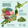 Matcha en Polvo Orgánico Japonés Organic Japanese Green Tea Matcha