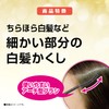 Salon de Pro Gray Hair Concealer Color Touch-up Light Brown