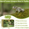 Halatool 2.2LB Natural Sphagnum Moss for Reptiles Green Live Moss