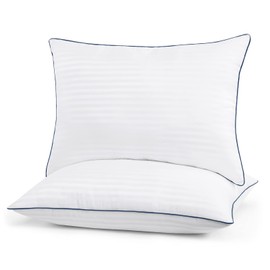 Homemate Bed Pillows for Sleeping - Queen Size(20"x28") Set of 2 Hotel Quality Pillows Allergy Friendly Microfiber Shell Fluffy Down Alternative Filling Pillow Suitable Back Stomach or Side Sleepers