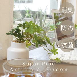 Kishima KH-61254 Artificial House Plants, Fake Green, Artificial Plants, Never Wither, Artificial Flowers, Green, Catalyst, Deodorizer, Antibacterial, Air Purifier, Sugarpine, Medium Size
