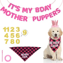Pink Dog Birthday Party Decorations Set, Puppy Birthday Decorations Kit Dog Birthday Decor Hat Bandana Dog Birthday Banner Scarf Sign Party Supplies for Puppy Pets Dogs (Style 2)