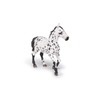Black Appaloosa Horse