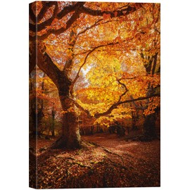 SIGNWIN Canvas Print Wall Art Autumn Red Leaf Oak Tree Forest Nature Wilderness Photography Modern Art Farmhouse/Country Landscape Colorful Multicolor Ultra for Living Room, Bedroom, Office - 32x48