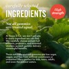 Grass & Co. Family Super Greens Gummies | Multivitamin with