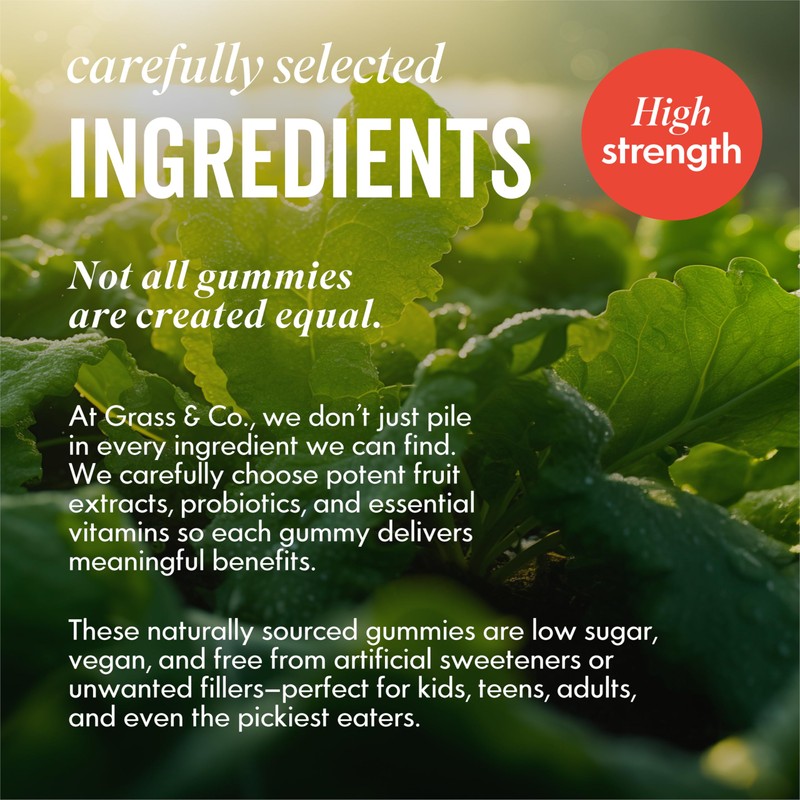 Grass & Co. Family Super Greens Gummies | Multivitamin with