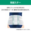 Alcare Sacrolite DX with Auxiliary Belt Lumbar Fixation Belt 17852