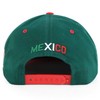 Hecho En Mexico Eagle 3D Embroidered Flat Bill Snapback Cap,