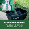 Scotts Turf Builder Southern Lawn Fertilizer for Southern Grass, 10,000
