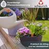 '"Bördy Water Dispenser Colour: Green, Size 20, Volume 220 ml