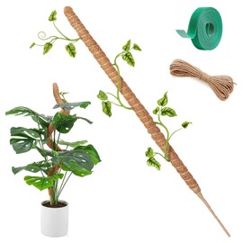 Herbst Monstera Trellis, 120 cm Plant Stake Flexible Moss Pole Coconut Rod Monstera with 4 m Fixed Rope, Moss Rod for Monstera Made of Natural Coconut Fibre