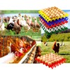 10-Pack Reusable Plastic Egg Tray Egg Crates 30-Egg Flats for