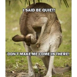 Funny Kangaroo  refrigerator magnet 3 1/2 x  4 "