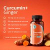 Nutravia Extracto Cúrcuma 95% + Jengibre 60 Caps. Veganas Sin