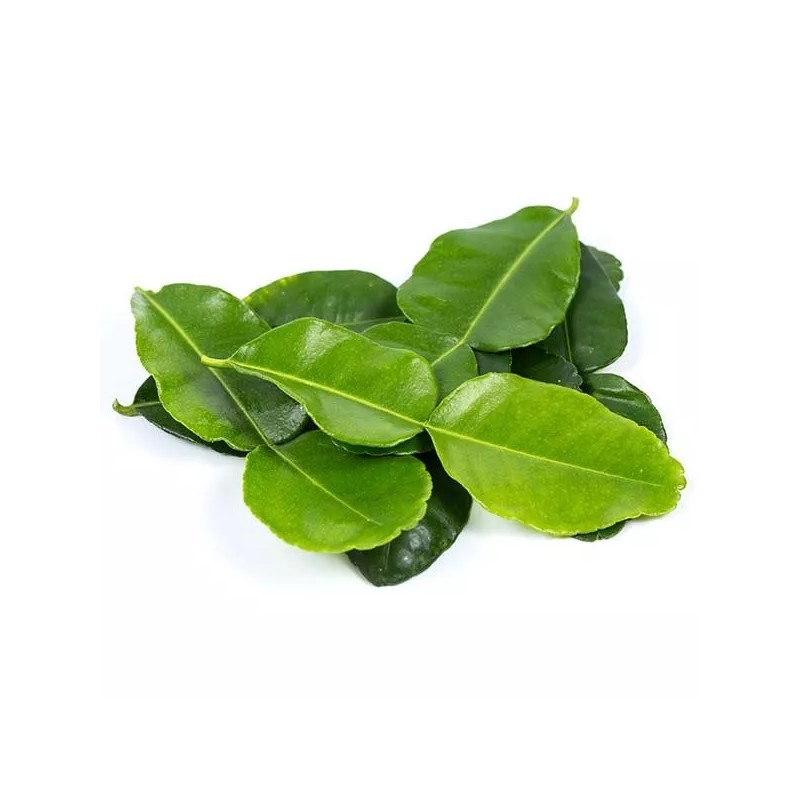 Fresh Organic Fresh Kaffir Lime Leaves ( Thai Lime Leaves)