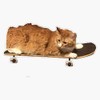Leyland Designs Ollie The Skateboarding Cat Sticker Outdoor Rated Vinyl