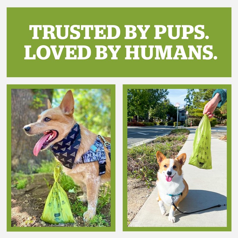 Pogi's 300 Unscented Dog Poop Bags with Handles - Earth-Friendly,