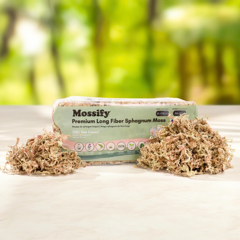 Mossify Premium Sphagnum Moss for Plants 50g, 1.8 Oz -