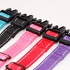 Martingale Dog Collar Reflective Heavy Duty Out Martingale Collar with