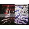 Unbranded DTCG CCG Trading Card Digimon Machinedramon & SkullGreymon Playmat